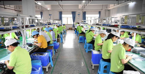 电子出版物与临时工 两种路径的深度解析
